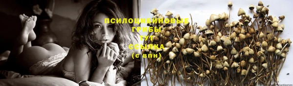 таблы Верхний Тагил