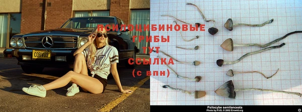 эйфоретик Верея